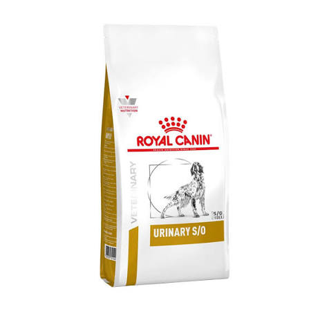 ROYAL CANIN